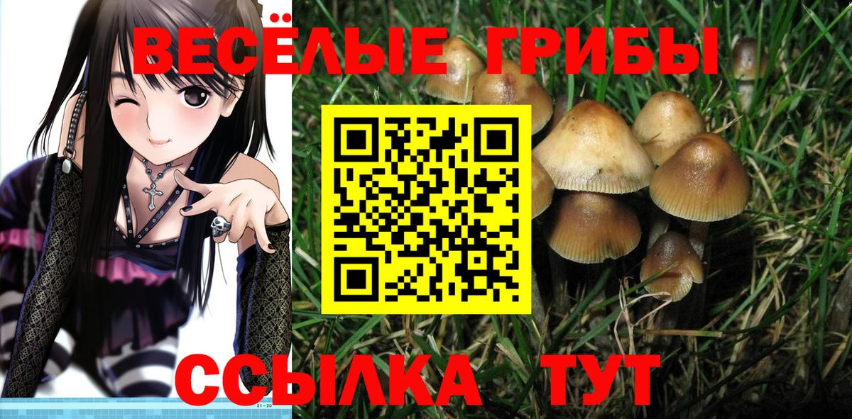 Галлюциногенные грибы Cubensis Ангарск