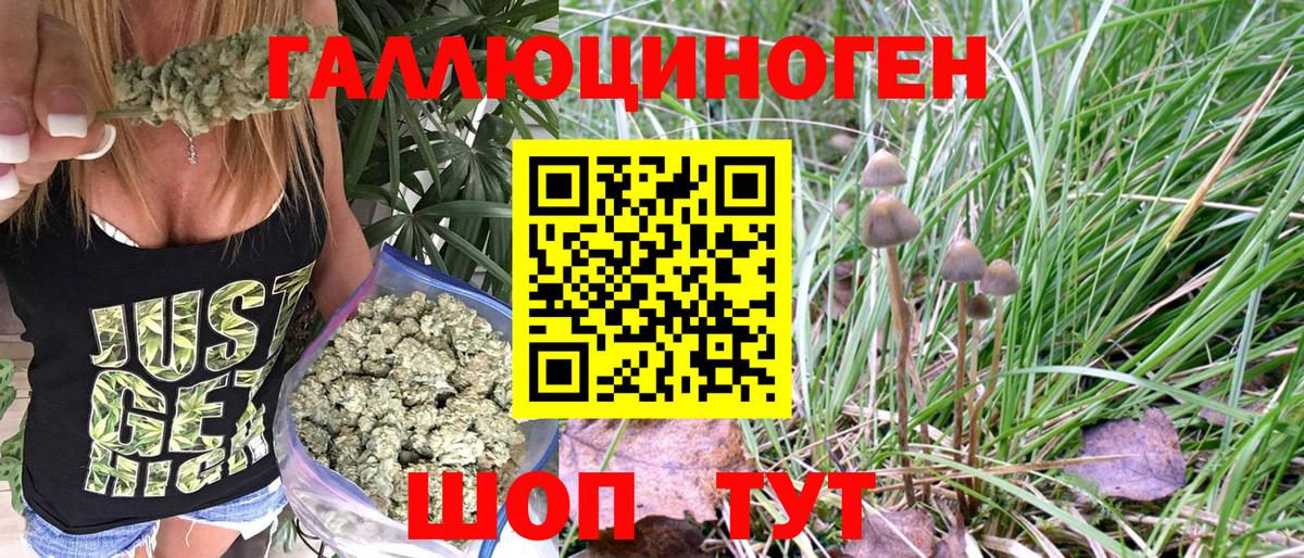 Псилоцибиновые грибы мухоморы  Вход с VPN  Псилоцибиновые грибы MAGIC MUSHROOMS  Ангарск 
